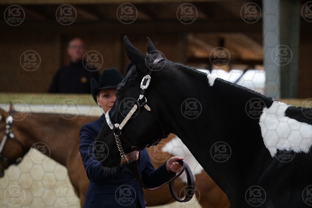 sK3F07335.JPG